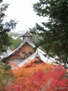 天龍寺の秋